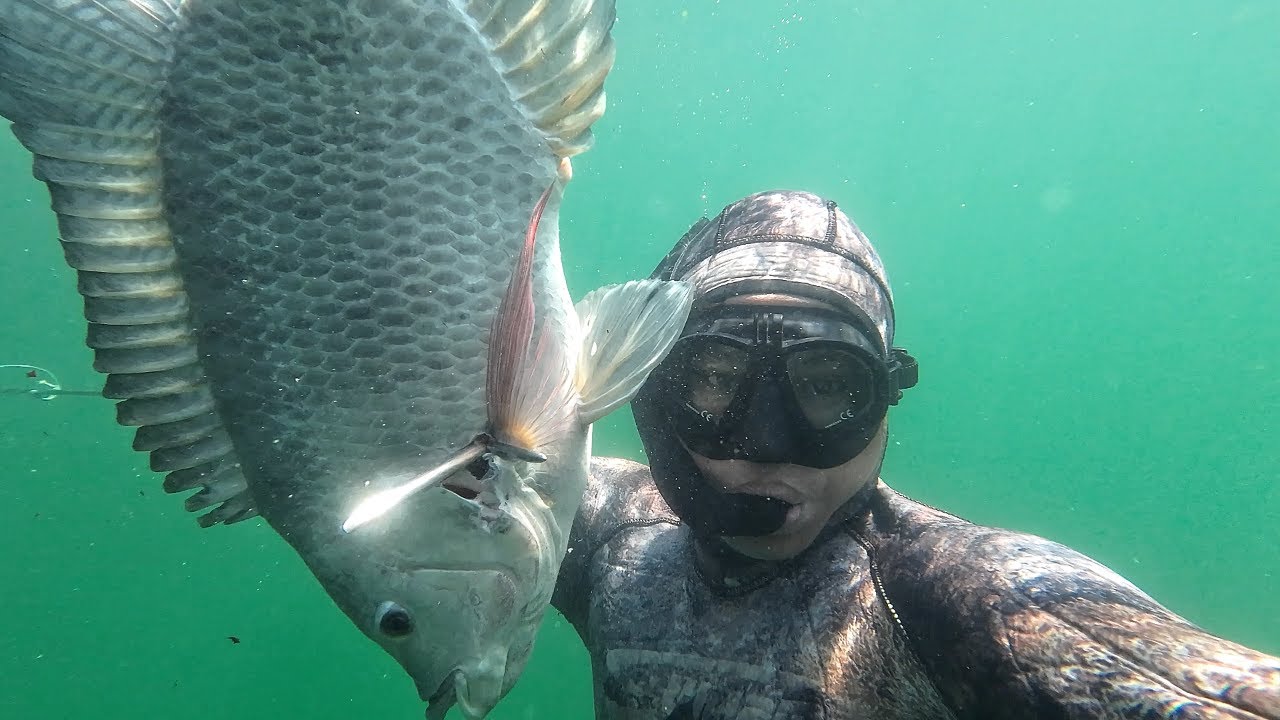 Akhirnya Ketemu!!! Koordinat sarang ikan nila lobang yang sempat hilang. Spearfishing Danau Toba