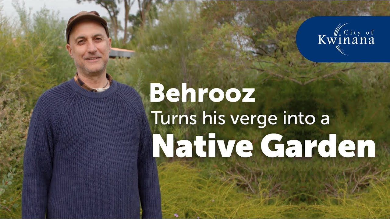 Behrooz turns his verge into a Native Garden