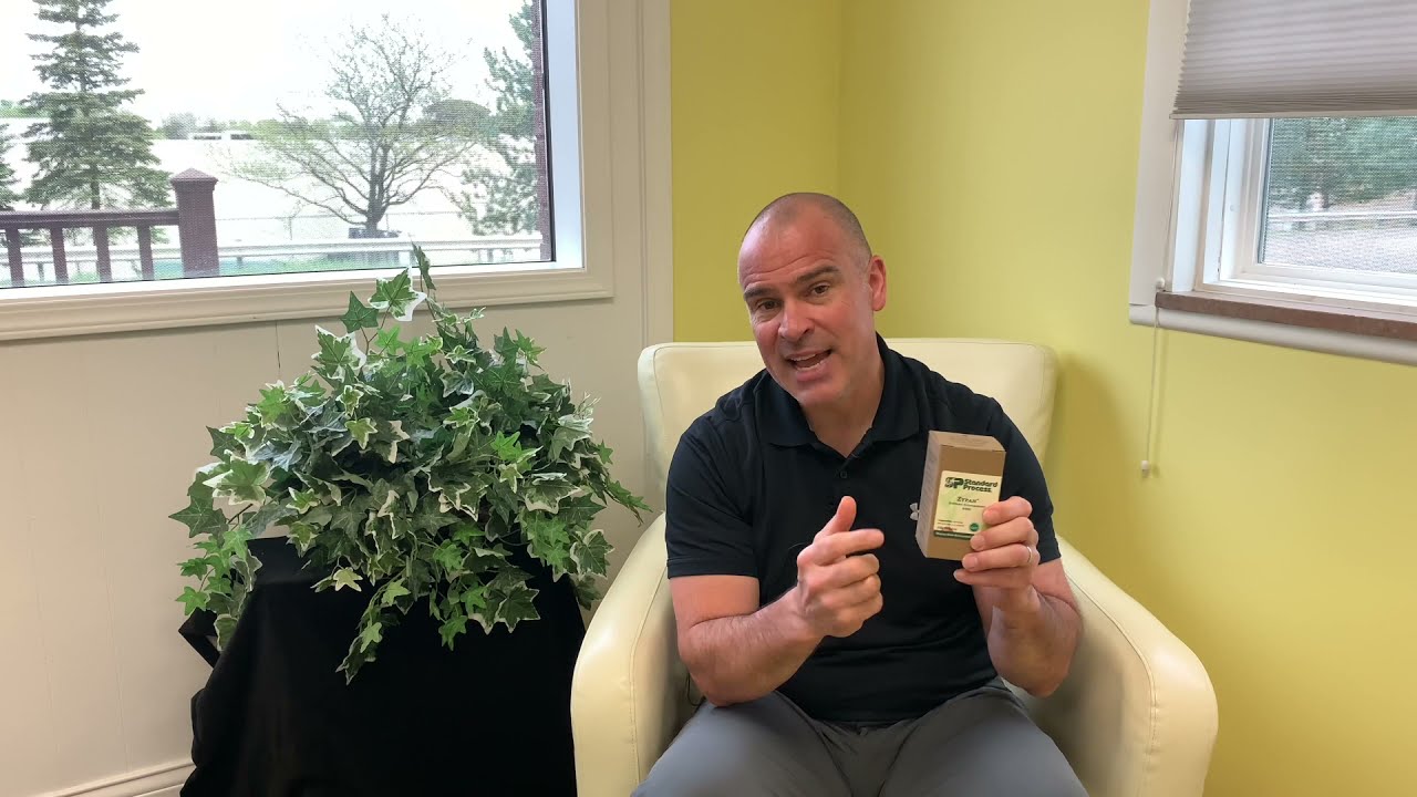 Zypan® should be in everyone's Wellness Cabinet!