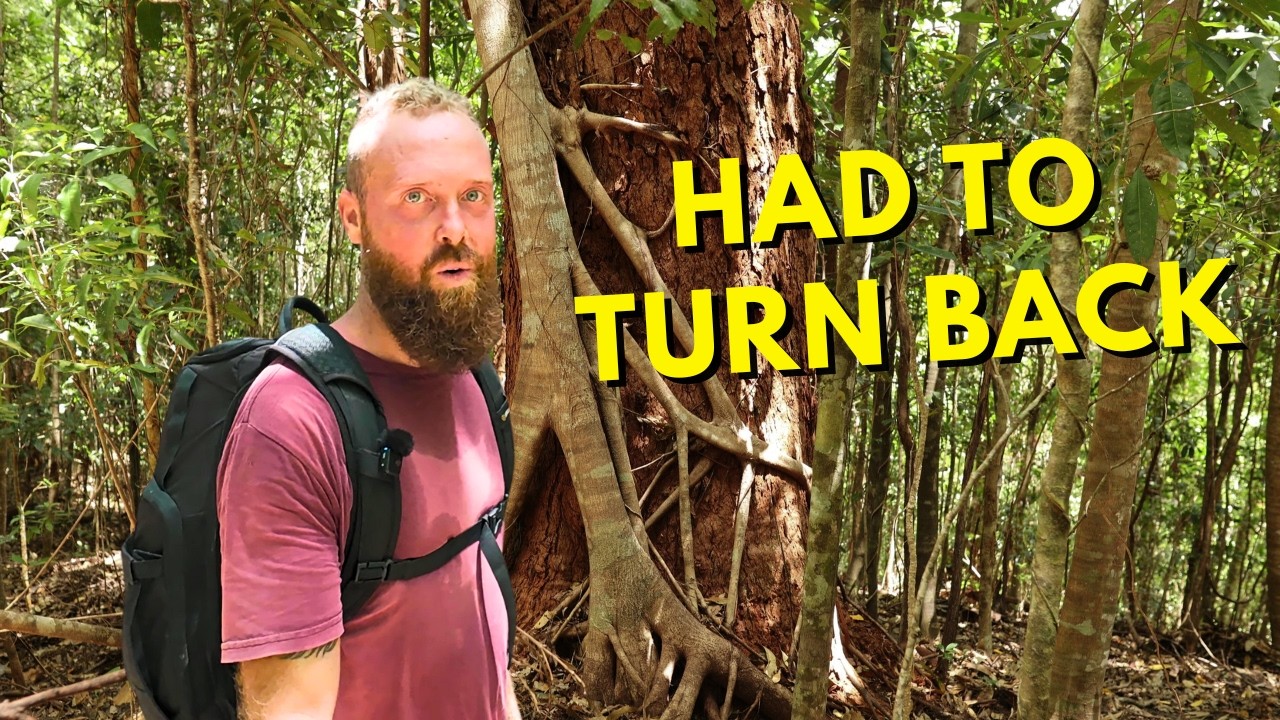 This Hike Completely Failed (Bell Peak North, FNQ)