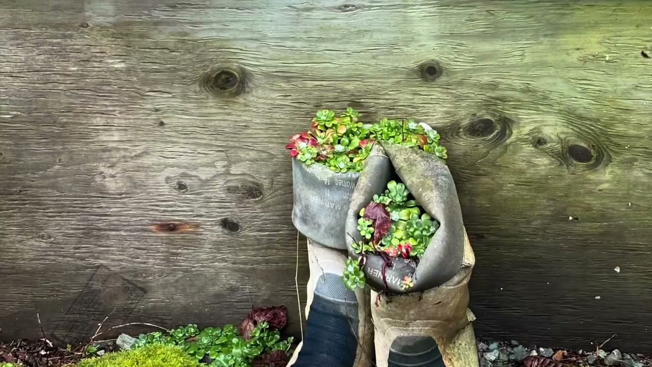 Bamfield, February 9-10, 2026