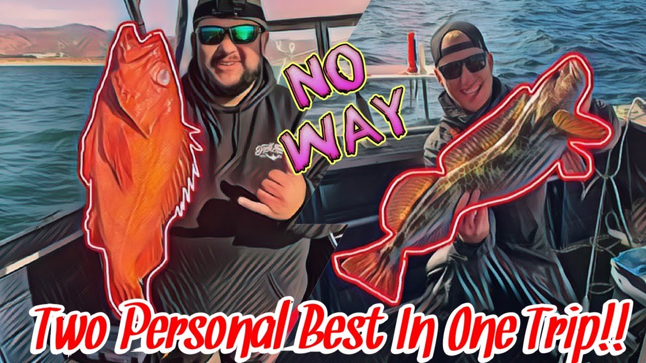 Fishing With Swim Baits For Big Vermillion And Lingcod In Half Moon Bay !
