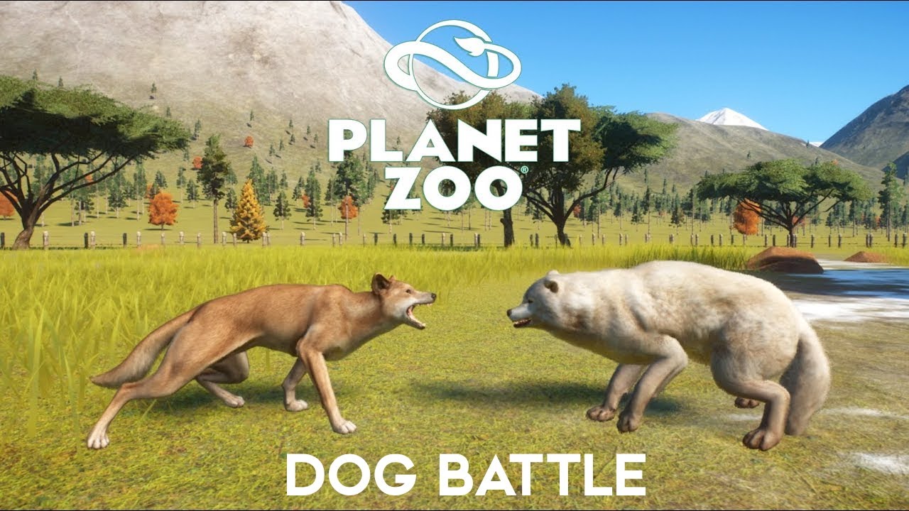 Dog Battle in Planet Zoo - Planet Zoo Animal Fights - Included Hyena, Wolf, Dingo, Wild Dog
