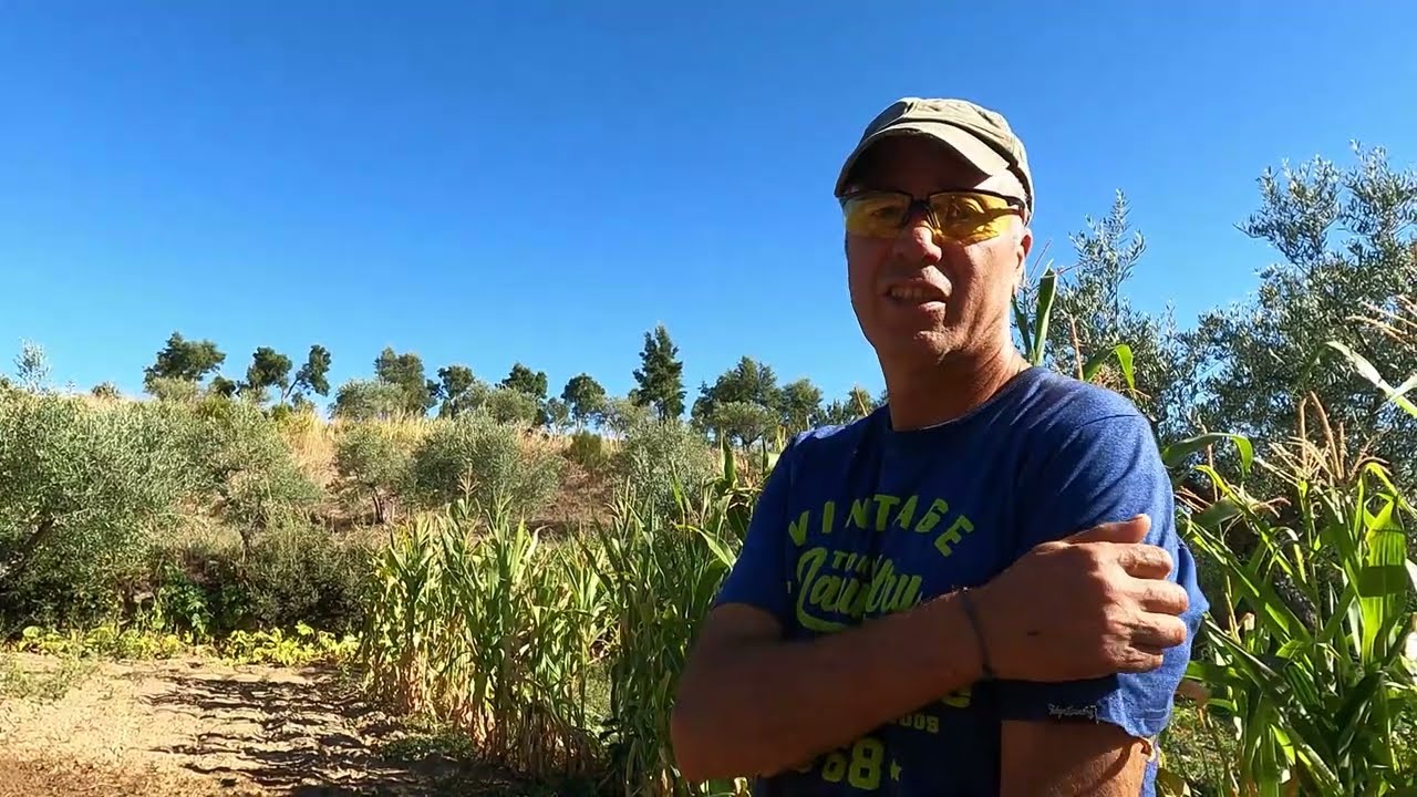 Como é bom, Campo#horta#natureza