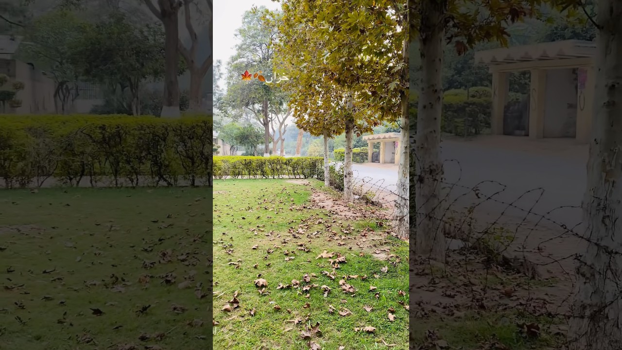 Autumn vibes at Agriculture University Peshawar ✨🍂🍁 #kptourism #ibrarvlogs