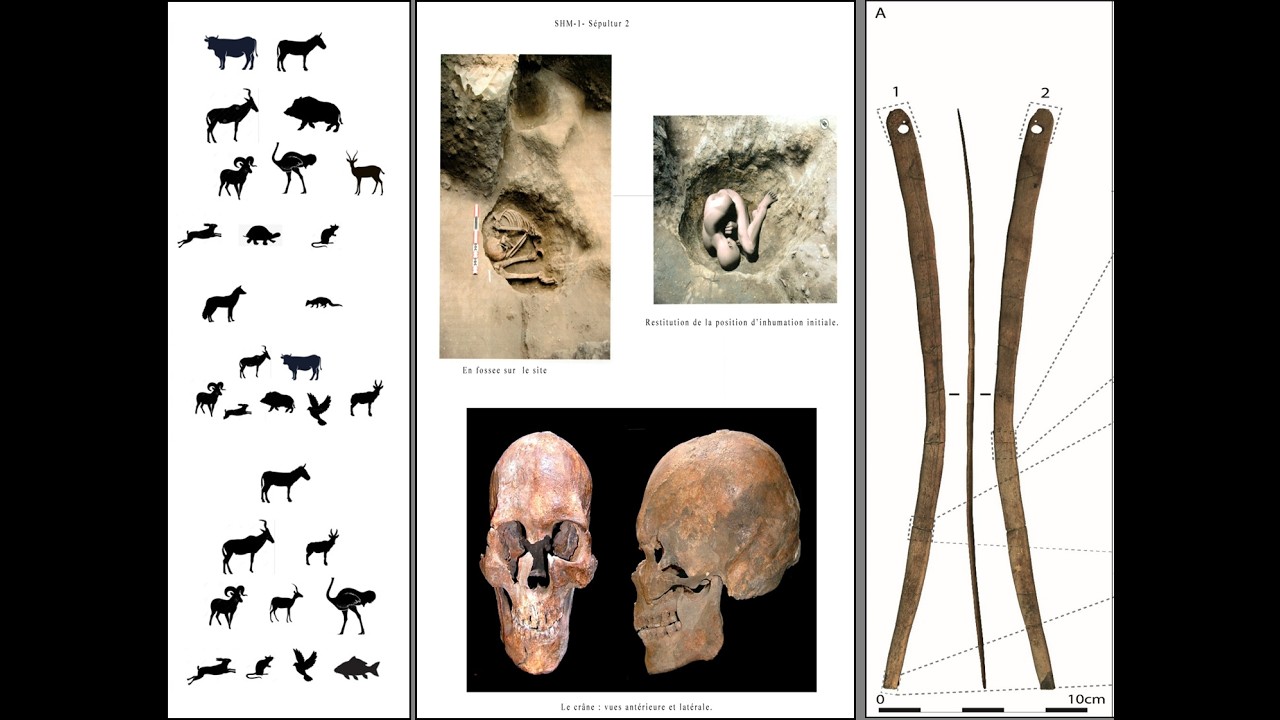FLP 05 | Nabiha Aouadi | Zooarchaeological evidence from the Holocene central Tunisia