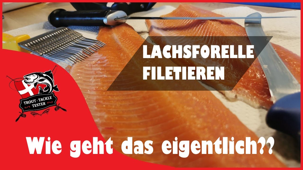 Lachsforelle filetieren! #dänemark #tutorial #fishing #trout #oxriver