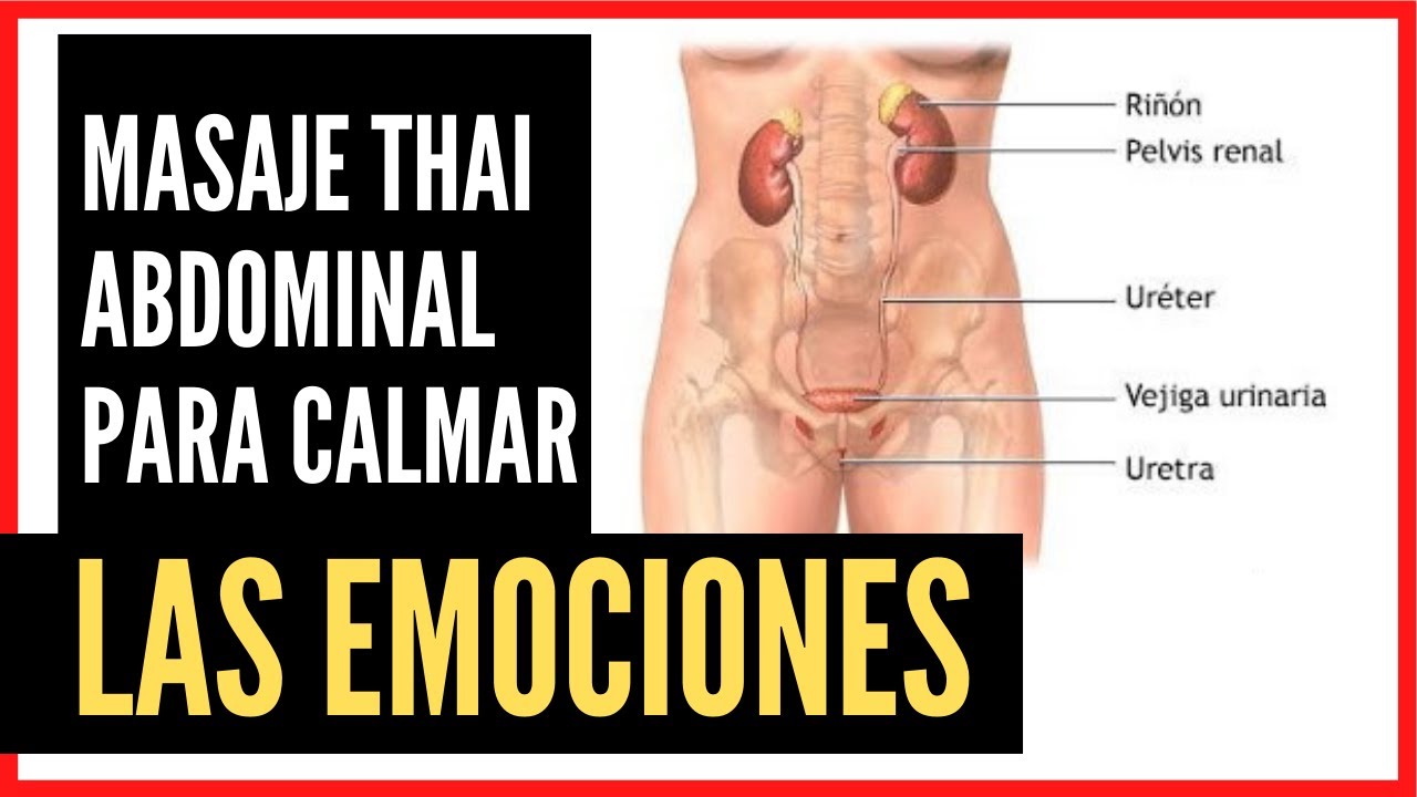 🙌🏻MASAJE TRADICIONAL TAILANDES #3: masaje  👉🏼 abdominal thai