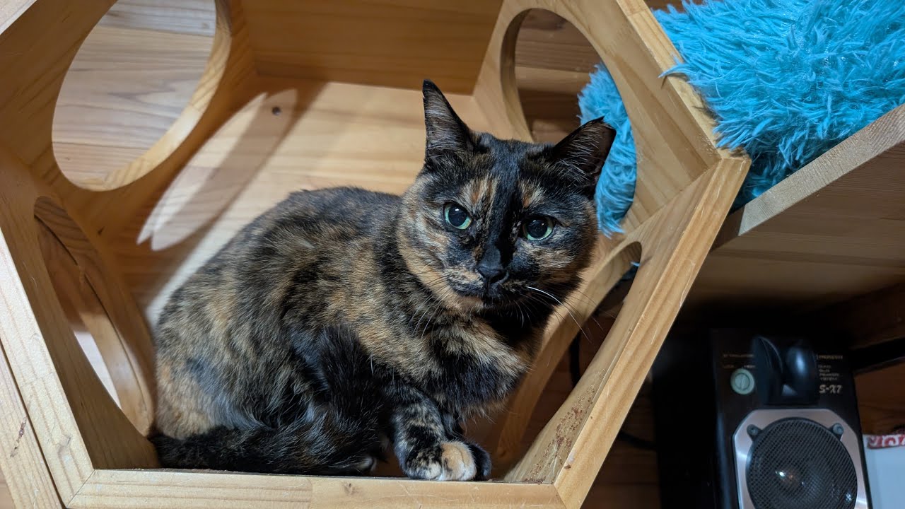 今日も癒されに来てください