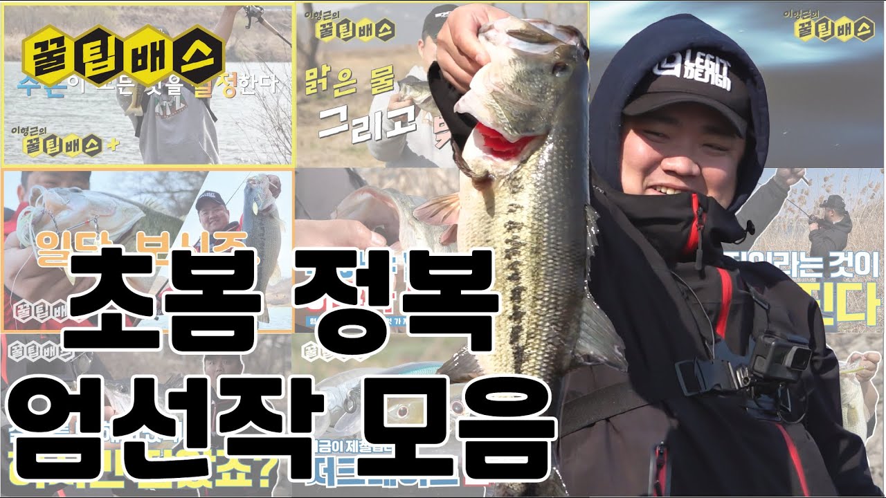 꿀팁배스 설특집 초봄 정복 엄선작