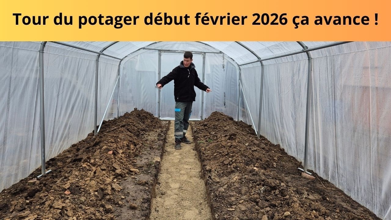 Tour du potager début février 2026 ça avance !