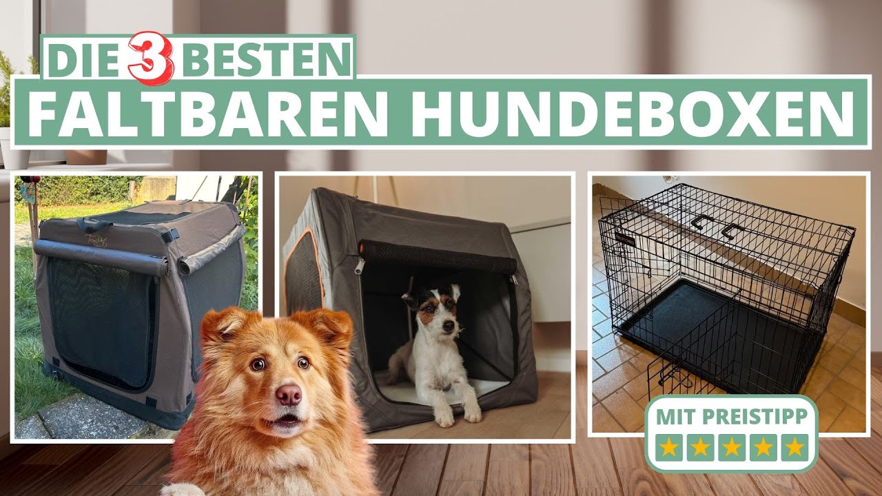 Hundebox - faltbar & klappbar - Meine Top-3