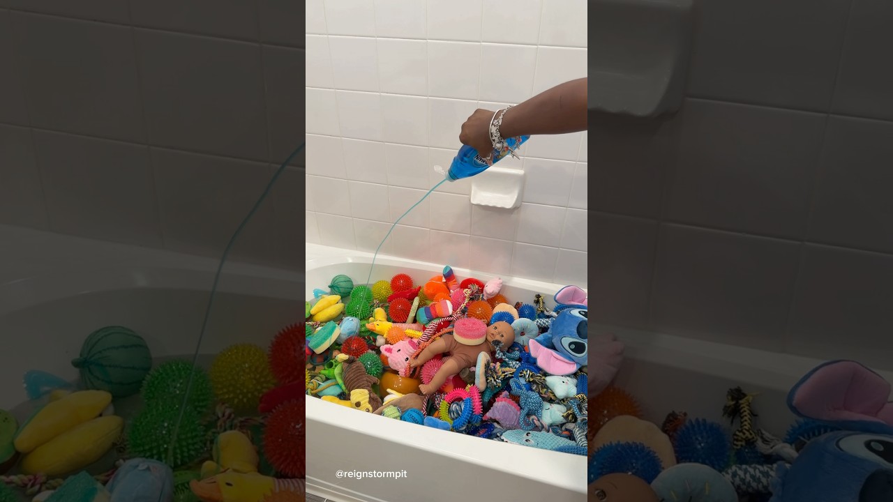 ASMR Cleaning My Dogs Toys