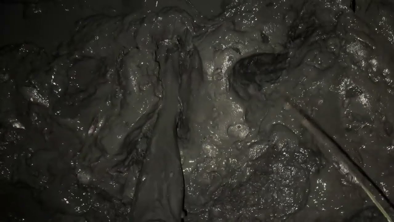 Another large tidal mudflat adventure 