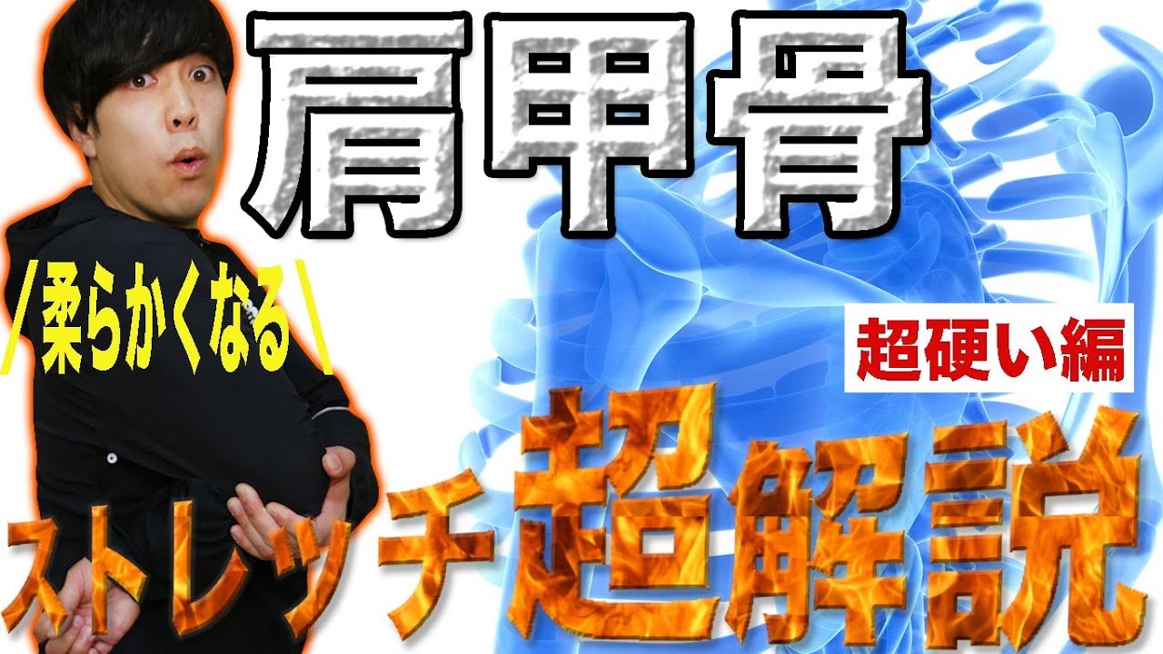 肩甲骨『超』硬い人向け！体を柔らかくするストレッチ【10分一緒に画面を観ながら】shoulder stretch