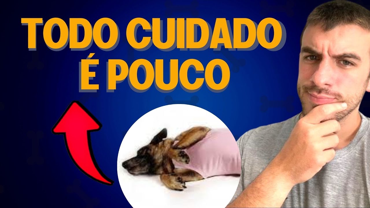 Meu cachorro acabou de castrar | TENHA MUITO CUIDADO