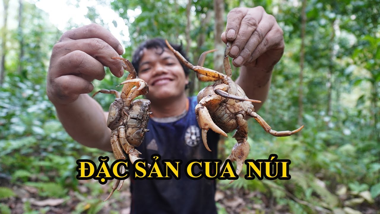 Đào cua núi kiếm đồ ăn cho bữa cơm chiều