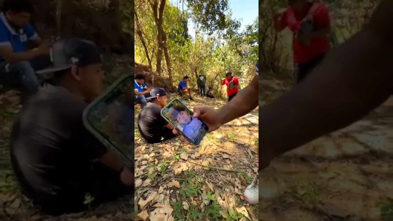 BUSCANDO LA CASA 🏠 DEL GATITO