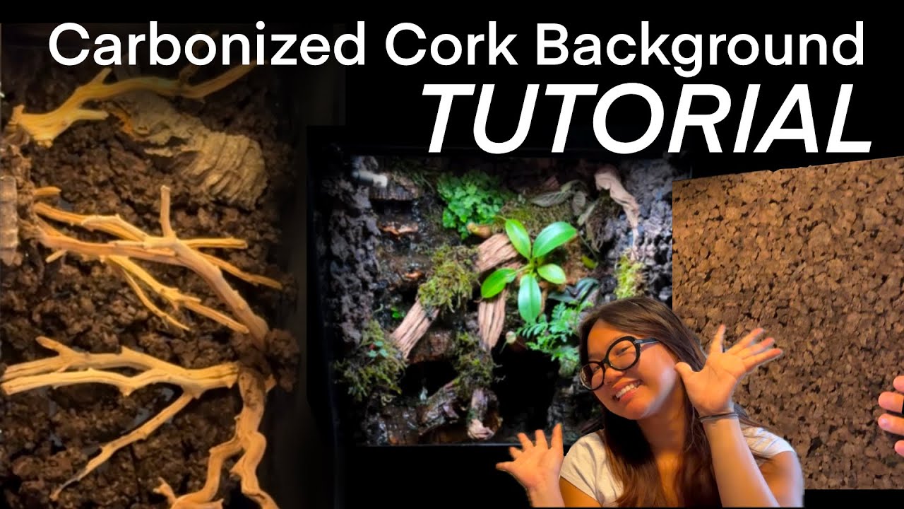 How to make a custom cork panel vivarium background!