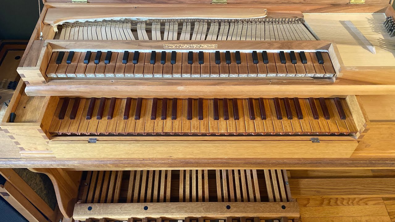 J. S. Bach: Sonata in D Minor BWV 527 | Bálint Karosi | Pedal Clavichord