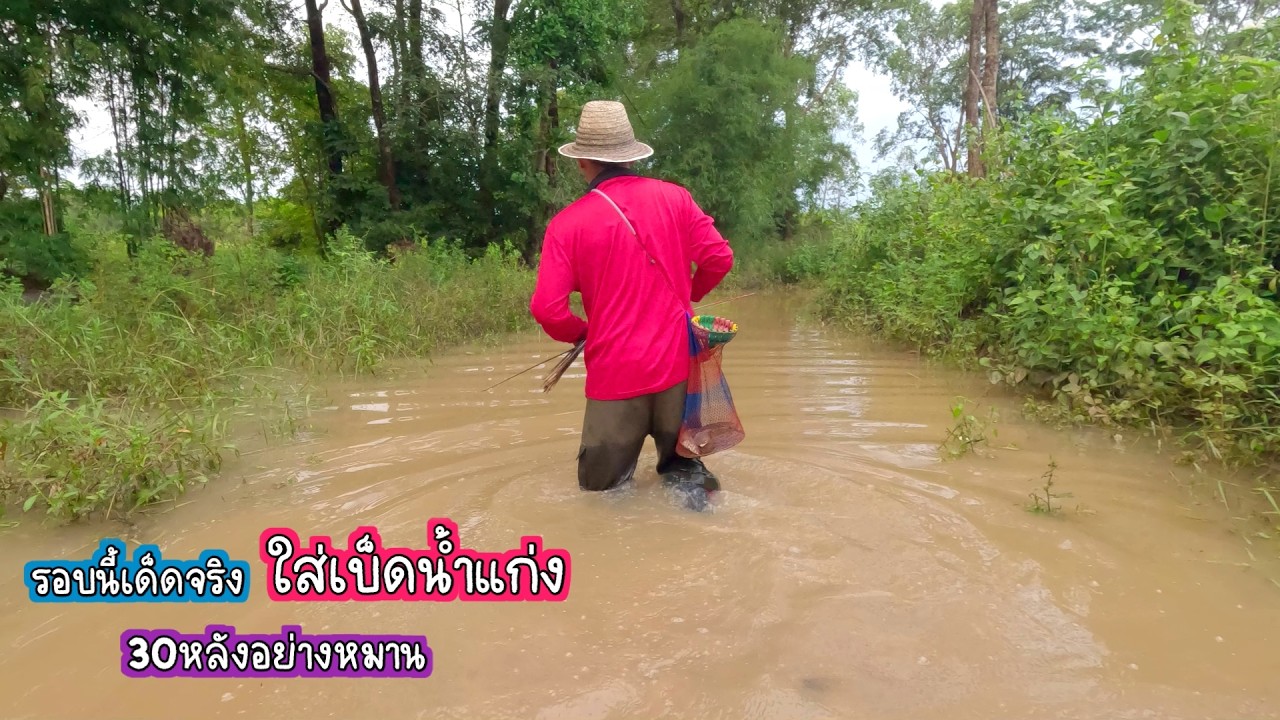 สุดเดือด ใส่เบ็ดน้ำแก่ง รอบนี้เด็ดจริงๆ 30หลังอย่างหมาน/บ้านนาพาสุข EP.565