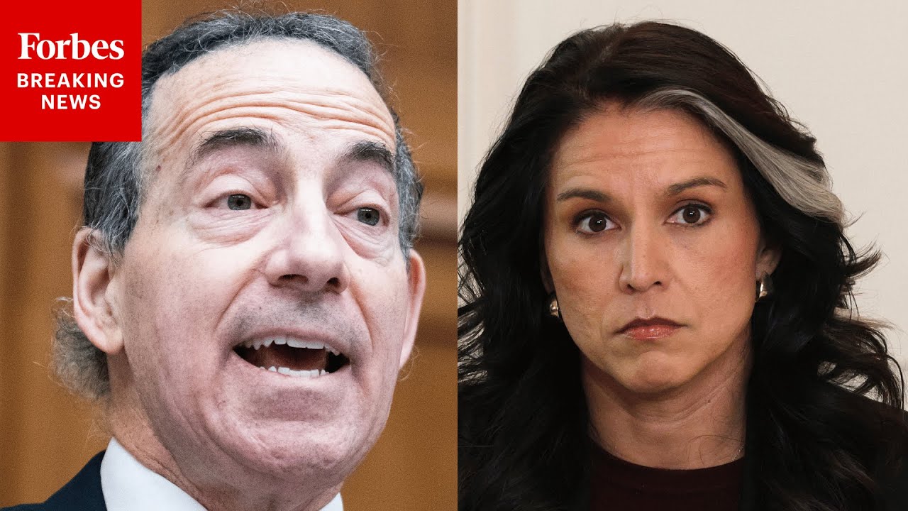 'No Idea Why She'd Be There': Jamie Raskin Reacts To Tulsi Gabbard At FBI Election Office Raid