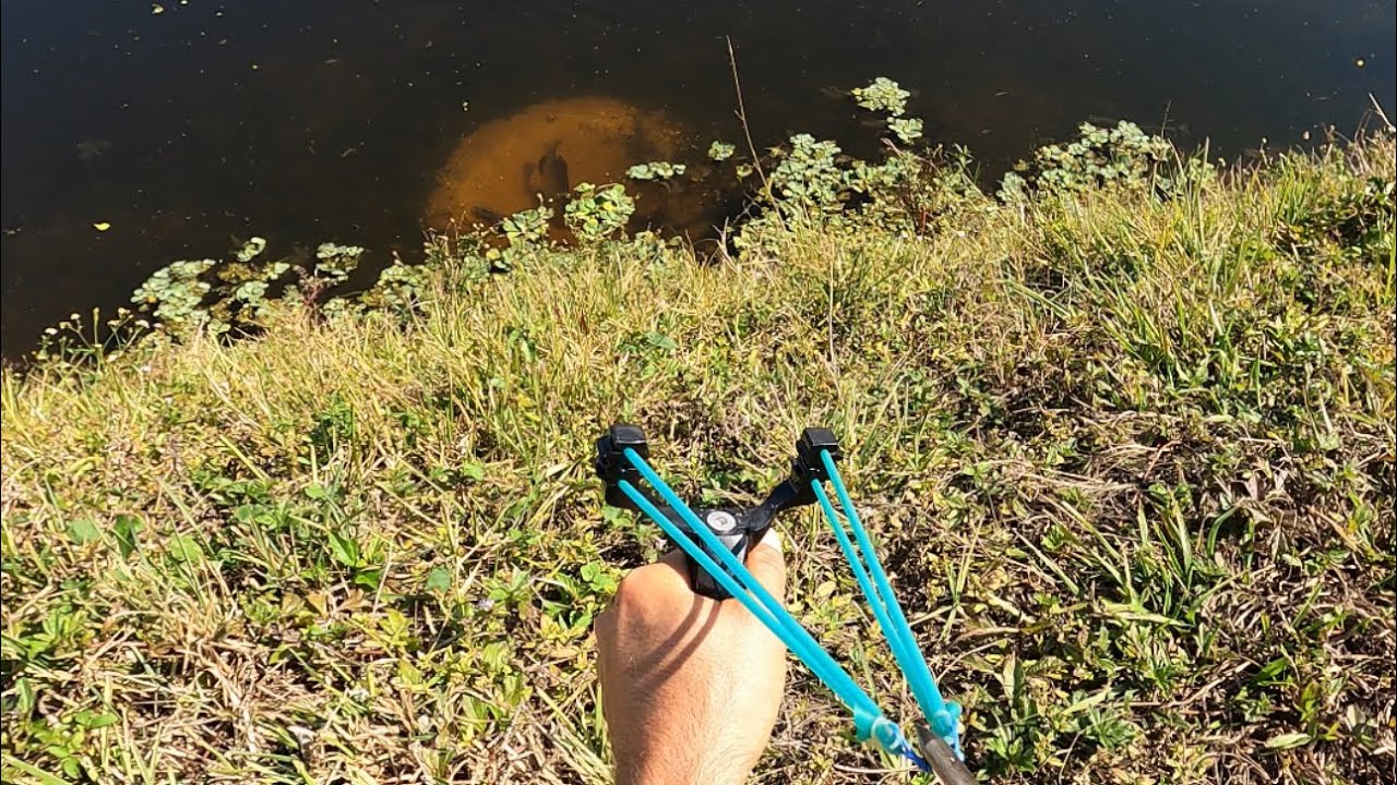 Pesca de Tilapia con Resortera
