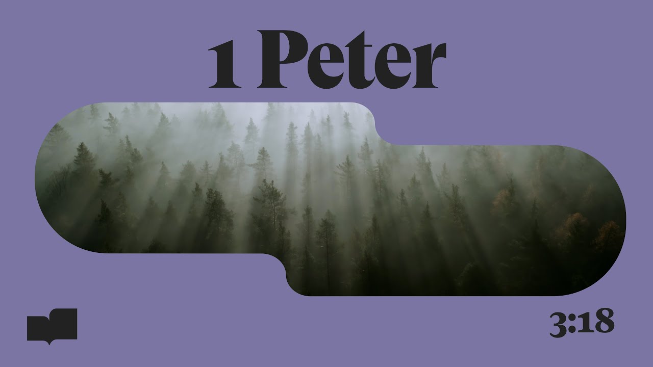 Verses - 1 Peter 3:18  (Official Lyric Video)