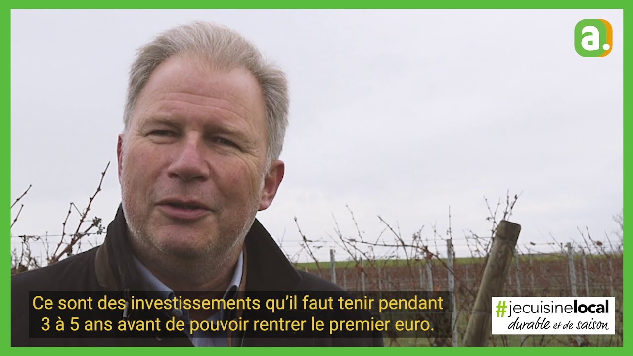 &Agrave; l'heure locale &ndash; Comment se porte le vin wallon ? (Apaq-W)