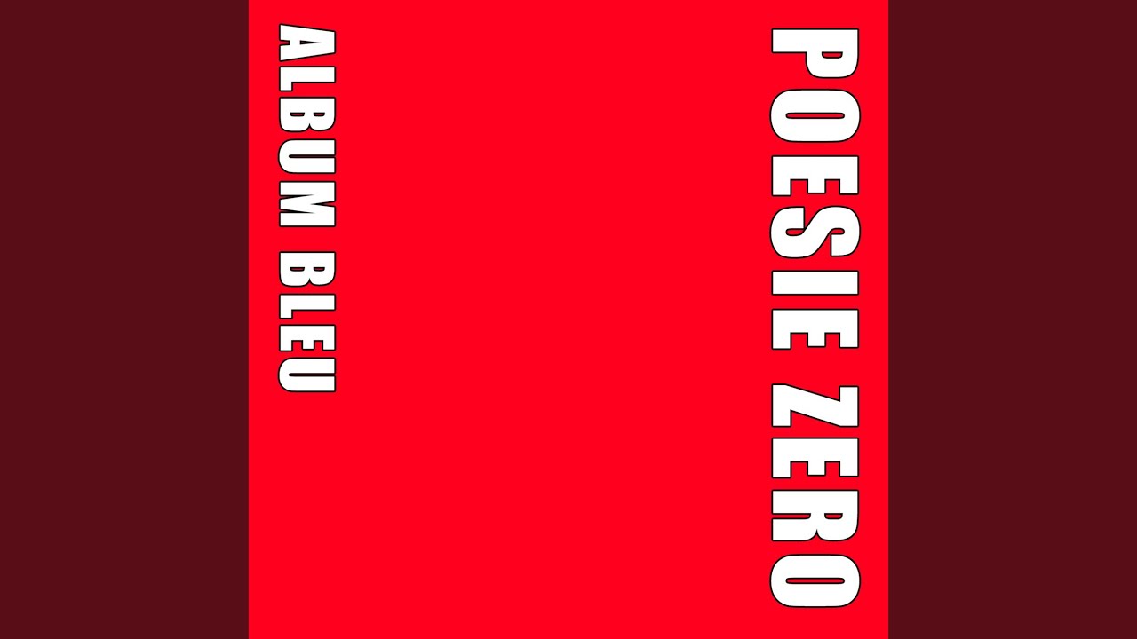 IL Y A DES FLICS PARTOUT