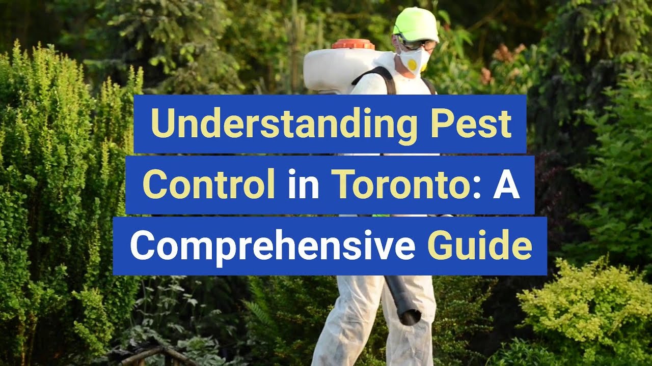 Understanding Pest Control in Toronto: A Comprehensive Guide