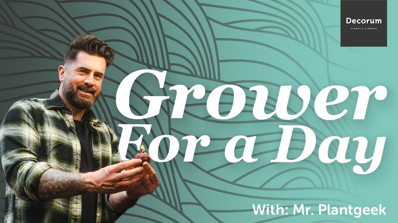 GROWER FOR A DAY - Episode 3  ( With: Mr. Plant Geek )