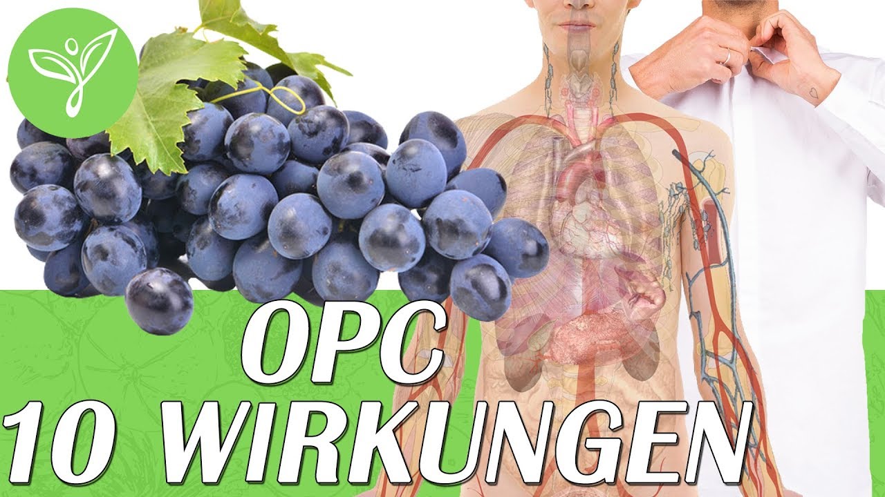 Schau was OPC Traubenkernextrakt in Deinem K&ouml;rper bewirken kann...