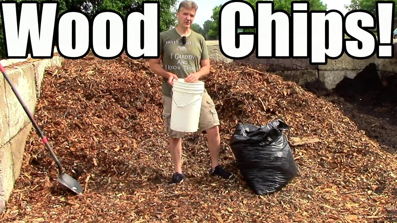 How & Why I Use Wood Chip Mulch in the Garden!