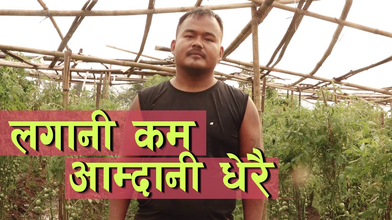 मलेशियाको १० वर्षे बसाइले सिकाएको कृषि || Tarkari Kheti in Nepal ||