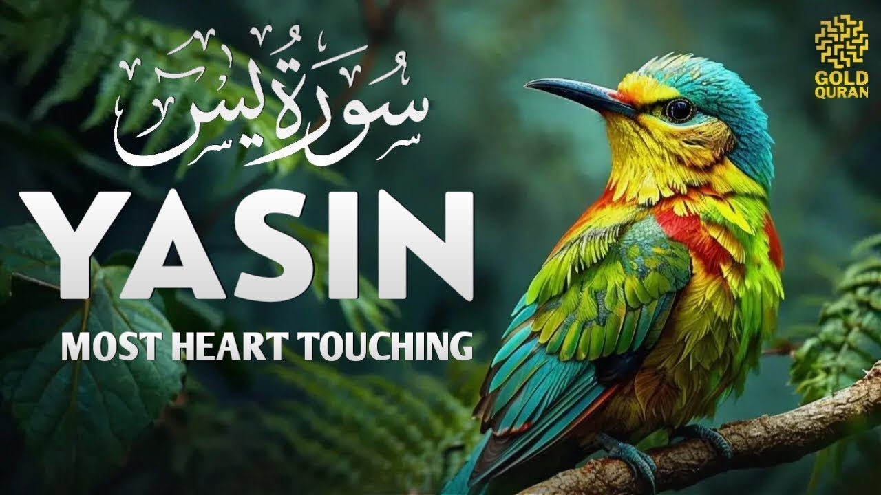 Peaceful Surah Yasin for Night Relaxation, Emotional Healing ✦ Yaseen سورة يس ✦ Therapeutic Quran