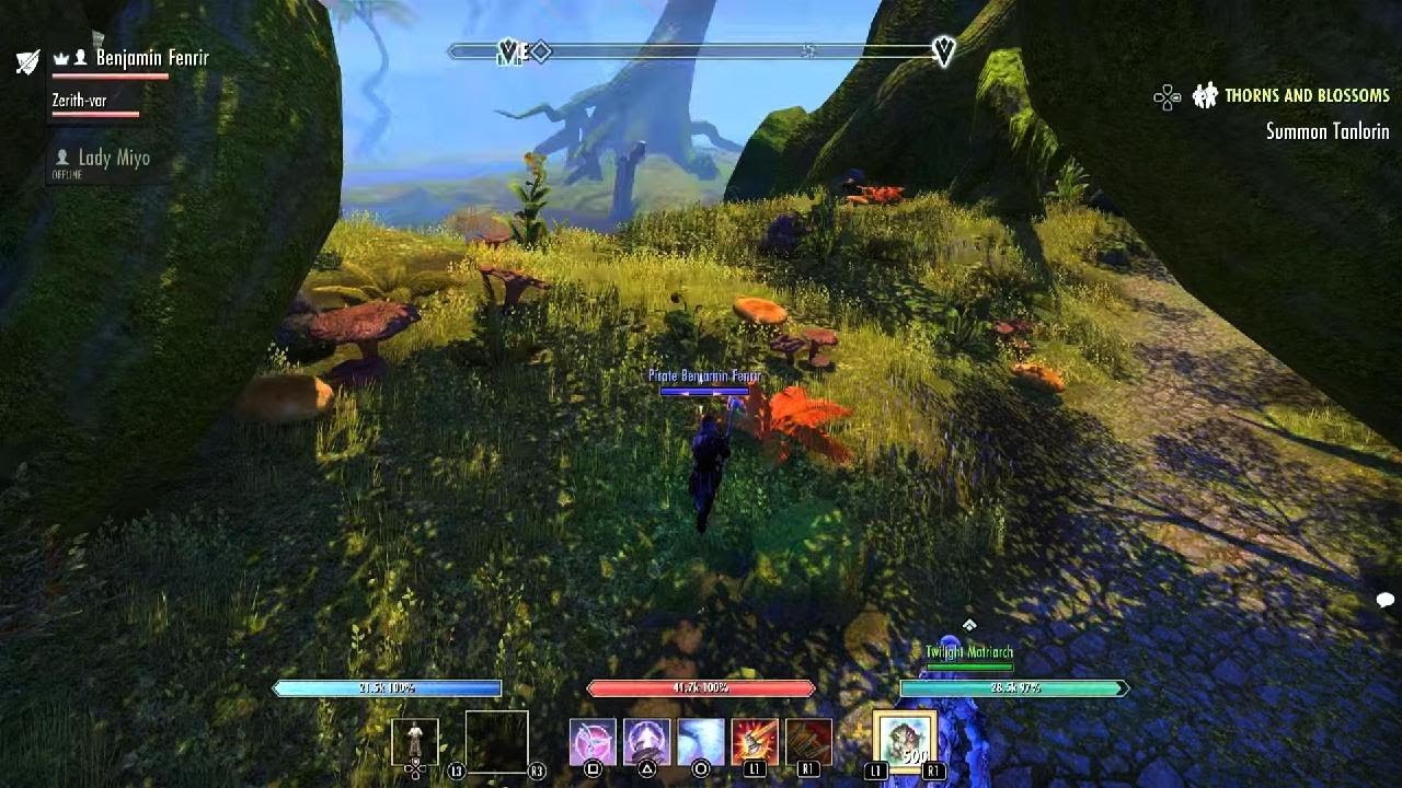 Zerith-Var Healing for Companion Reputation