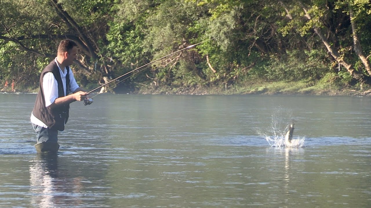 Pecanje mekousne pastrmke ne reci Neretvi - BiH I deo - Pecanje pastrmke na varalicu | Fishing trout