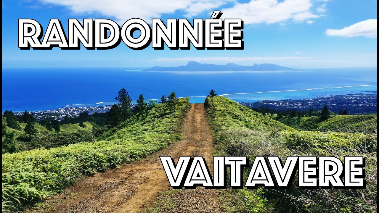 Plateau de Vaitavere / Tahiti-Découverte