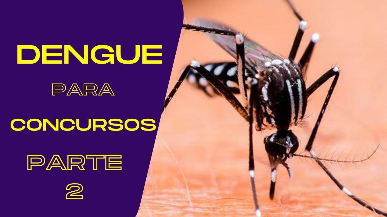 DENGUE PARA CONCURSOS 2024 PARTE 2