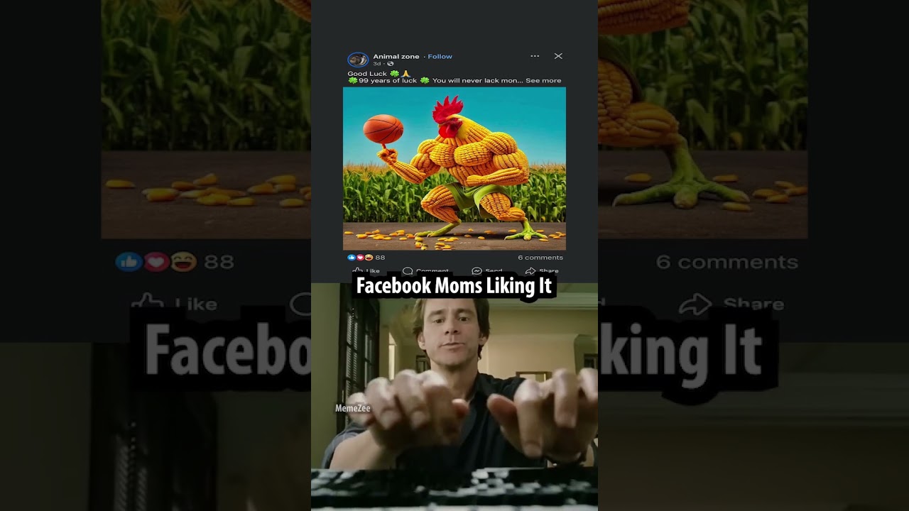 Facebook Mom experience
