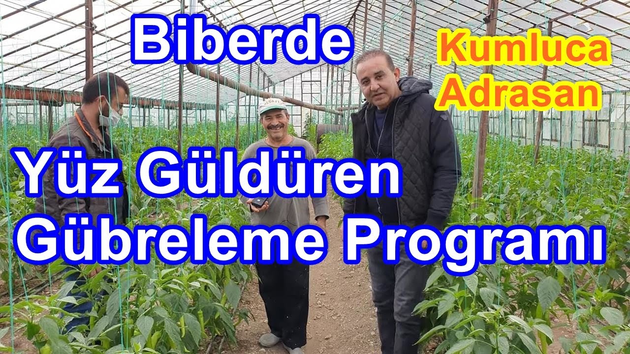 Biber Serasında Gübreleme Programı