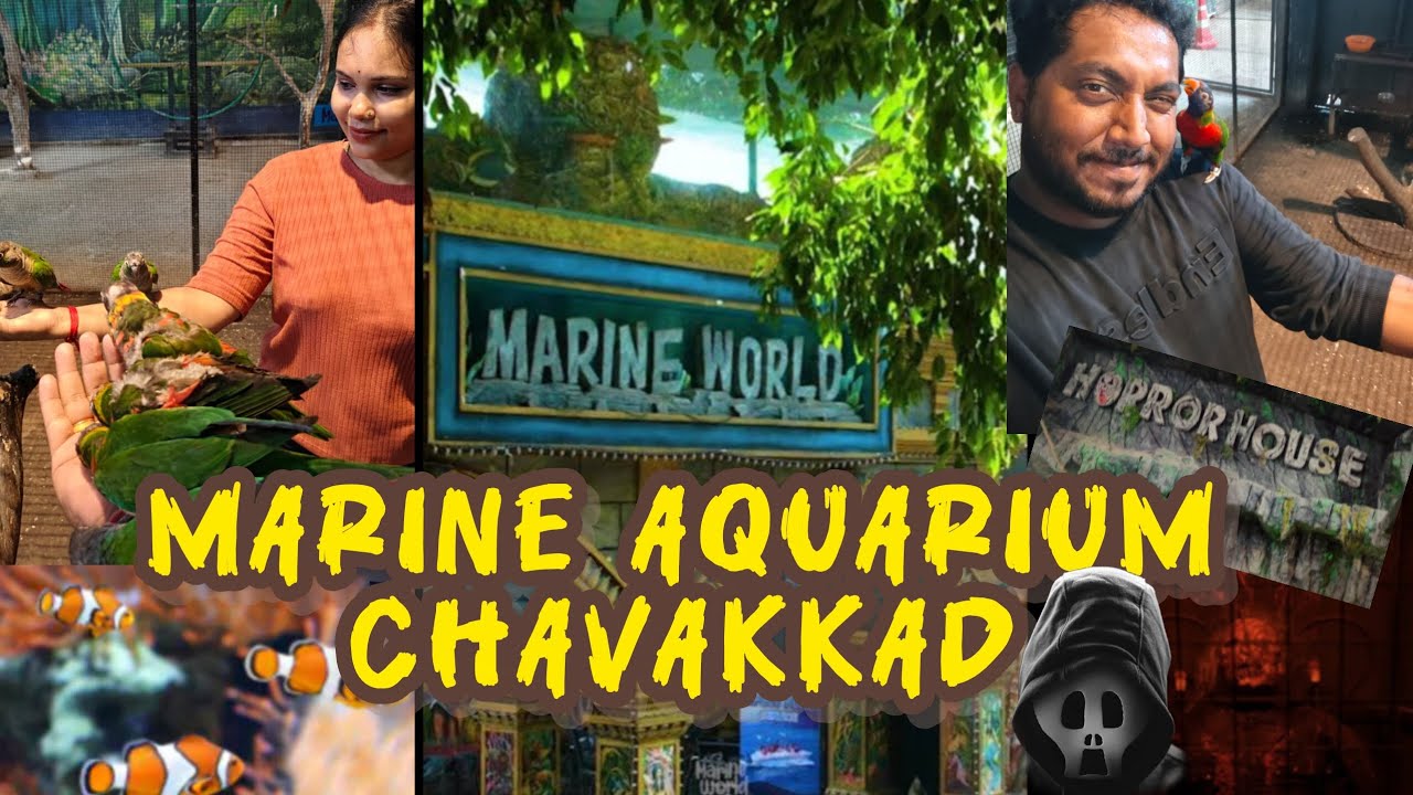 Marine aquarium chavakkad 🐠🐟🐳🦜🐦👻@gopikagopakumar3760 