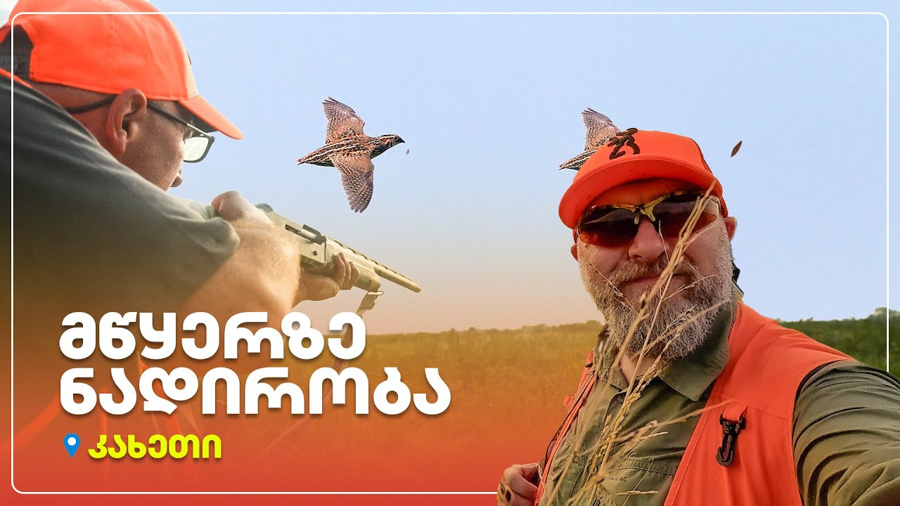 მწყერზე ნადირობა – კახეთი