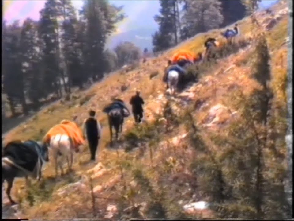 ΓΑΡΔΙΚΙ-ΠΑΧΤΟΥΡΙ-ΜΕΣΟΧΩΡΑ-ΑΣΠΡΟΠΟΤΑΜΟΣ-1987-7ο