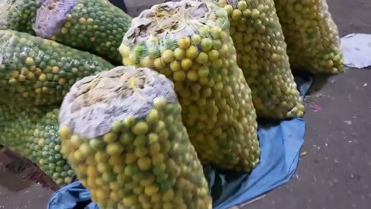 شوف اسعار،الخضار،اليوم البازنجان الخيار الفلفل اليمون الكوسه الالوان كل الخضار اليومى