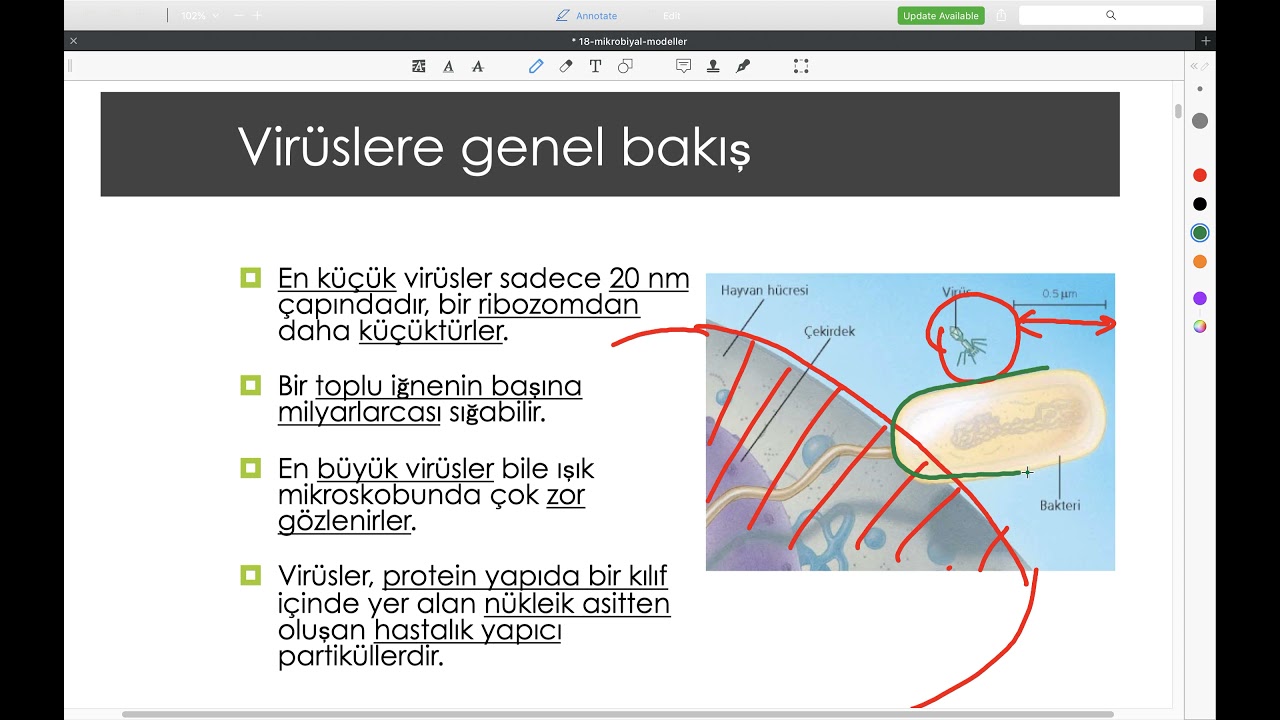#biyoloji #genel biyoloji BÖLÜM 18:  Virüs ve Bakteri Genetiği-1 #genel biyoloji
