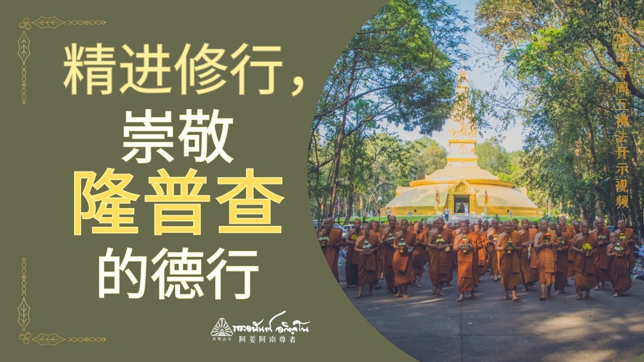 精进修行，崇敬隆普查的德行  | 阿姜阿南开示. 翻译中文版