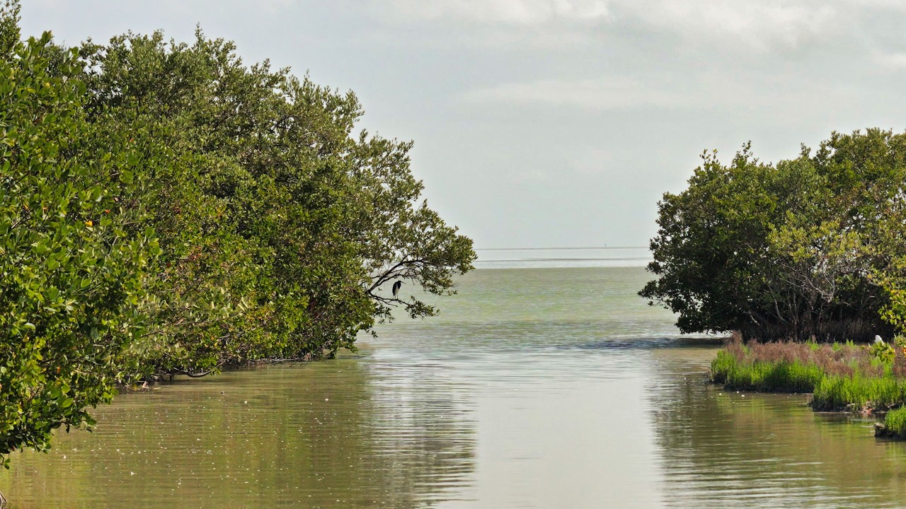 EVERGLADES NATIONAL PARK: Part Two