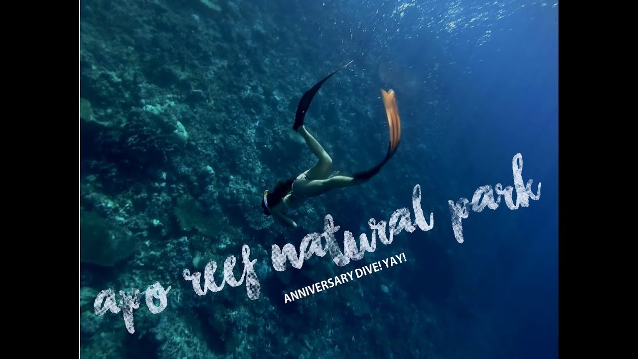 Diving in Apo Reef Natural Park, Sablayan, Mindoro Occidental
